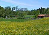 Ferienhaus Sdschweden - Villa Sjogard Ferienhaus am See Schweden